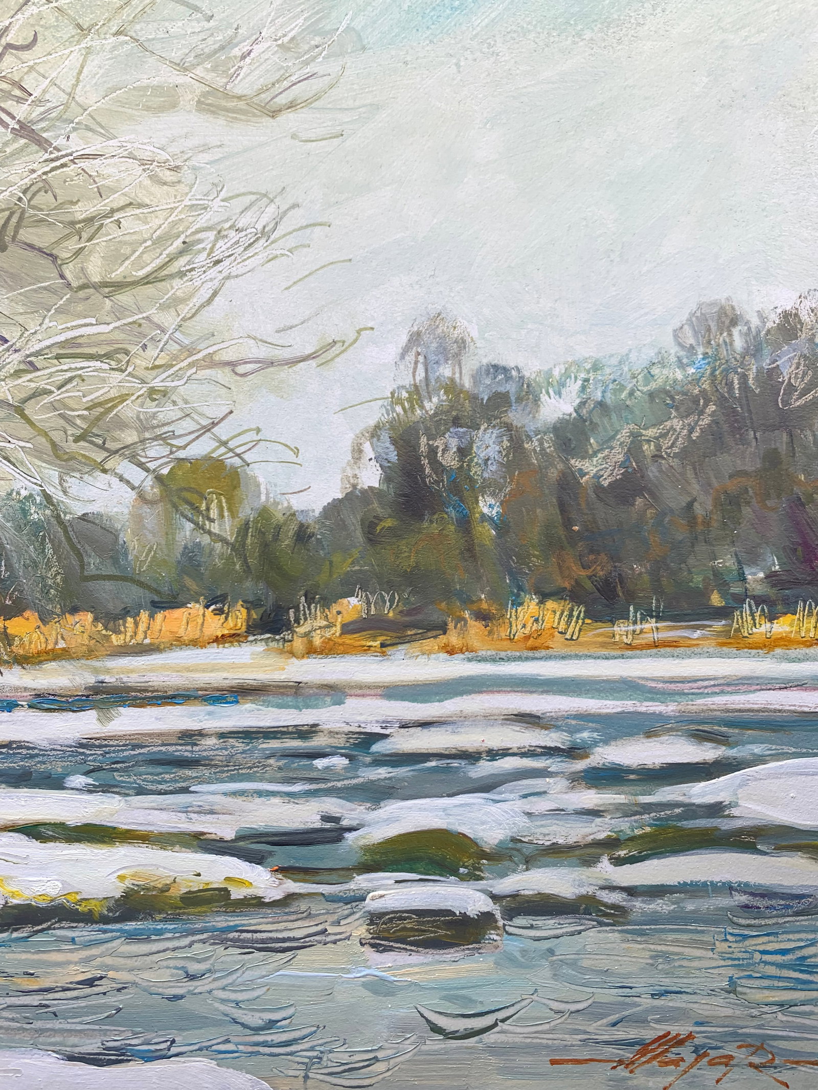 Oil painting Rapids on the Bug River Oleksandr Oleksandrovich Nazarenko - 11