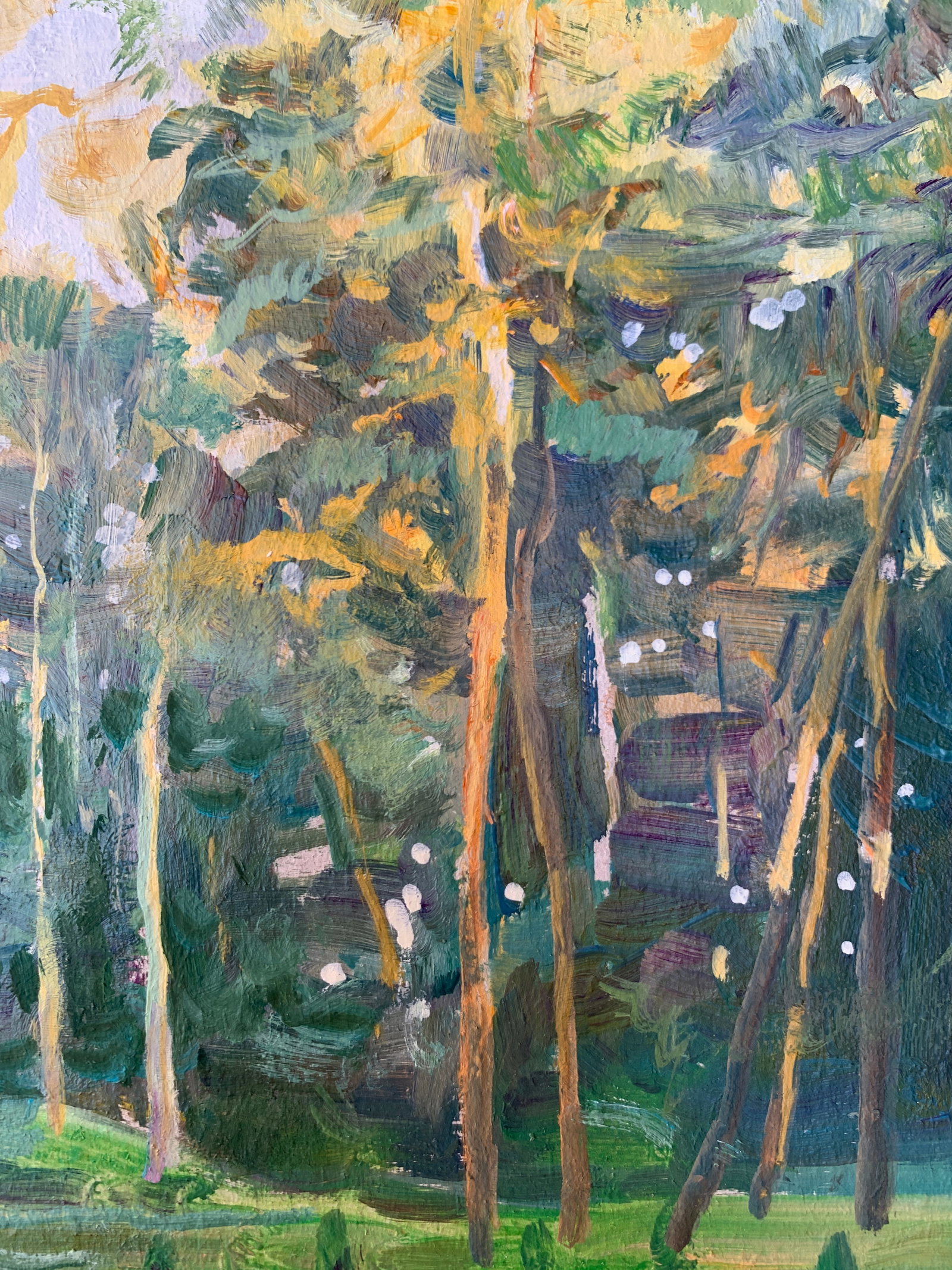 Oil painting In the forest Oleksandr Oleksandrovich Nazarenko - 4