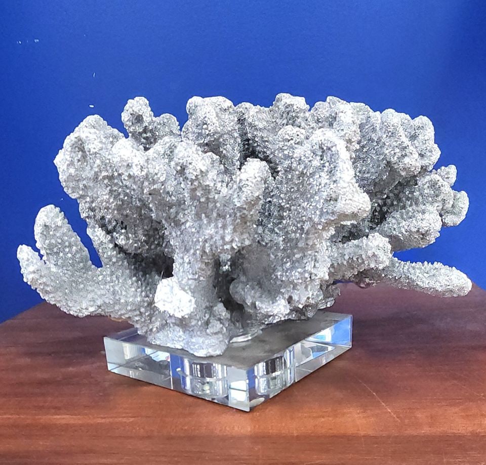 Modernist Abstract silver-plated resin coral sculpture coral on lucite base by Sterling Industries: Modernist Abstract silver-plated resin sculpture of coral on lucite base commissioned by Sterling Industries a leading designer of high quality artistic home decor. Shipping: Domestic: Shipping rates 