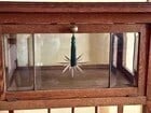 Antique Wood Liquor Tea Cabinet with Removable Top Tray- England - 2