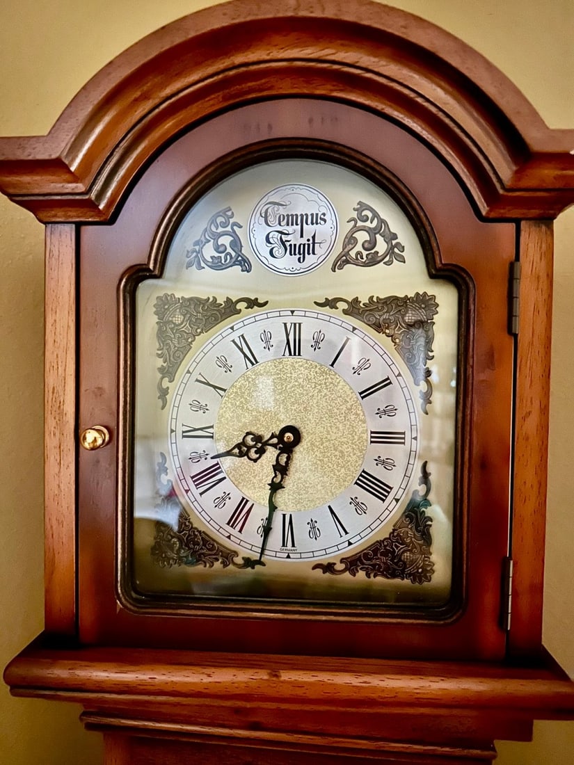 Contemporary Howard Miller Grandfather Clock - 4