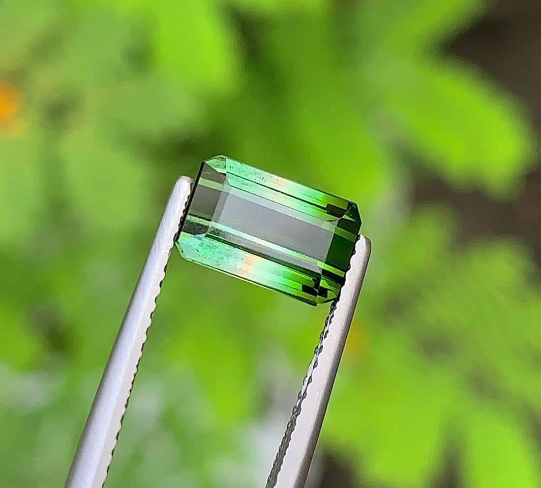 Multi Color Tourmaline Gemstone: Natural October Birthstone, Africa (2.78 CT) - 6
