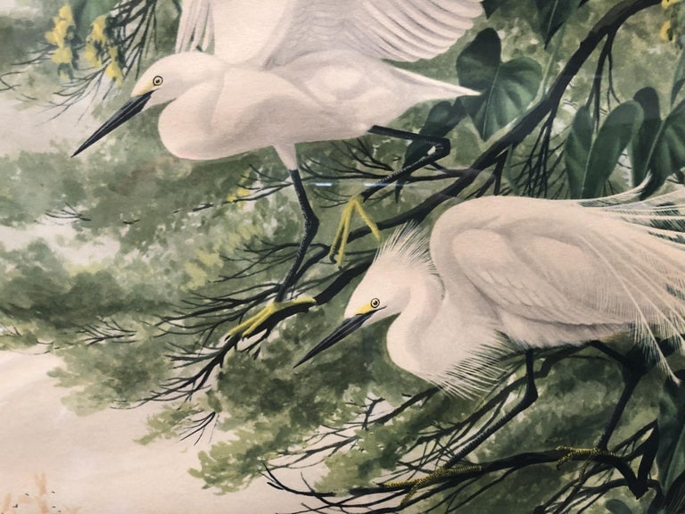 Post-War Tropical Cranes Print in Original Frame - 4