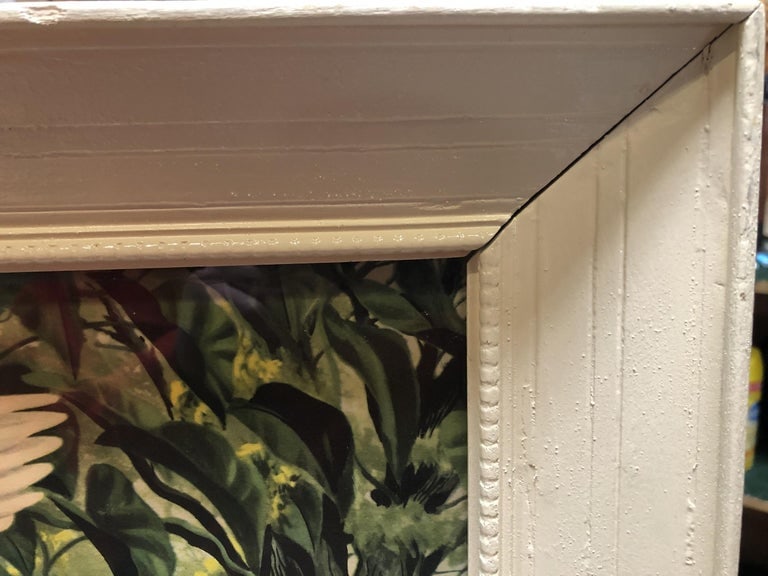 Post-War Tropical Cranes Print in Original Frame - 6