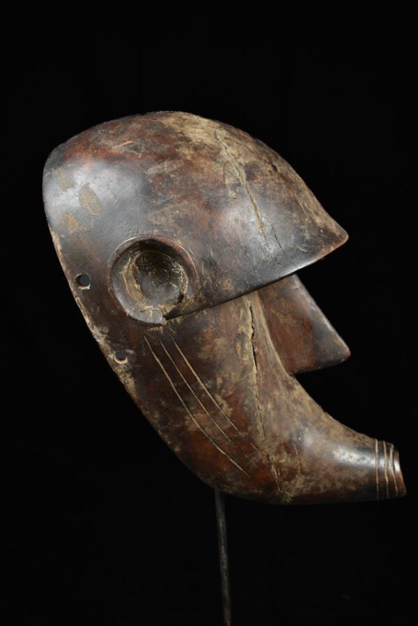 Zoomorphic mask - Wood - Bambara - Mali - 3