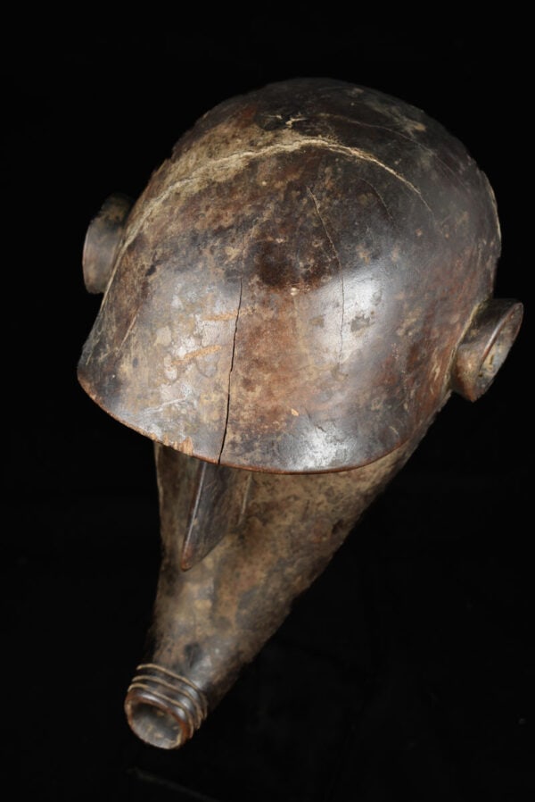 Zoomorphic mask - Wood - Bambara - Mali - 5