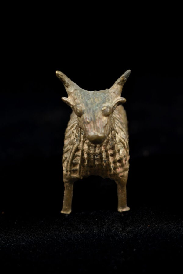 Zebu Bull figure - Dhokra Bronze - Orissa - India - 5