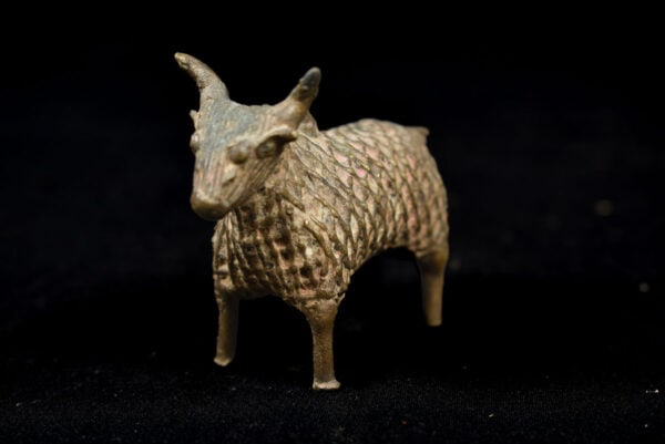 Zebu Bull figure - Dhokra Bronze - Orissa - India - 6