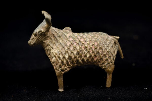 Zebu Bull figure - Dhokra Bronze - Orissa - India - 7