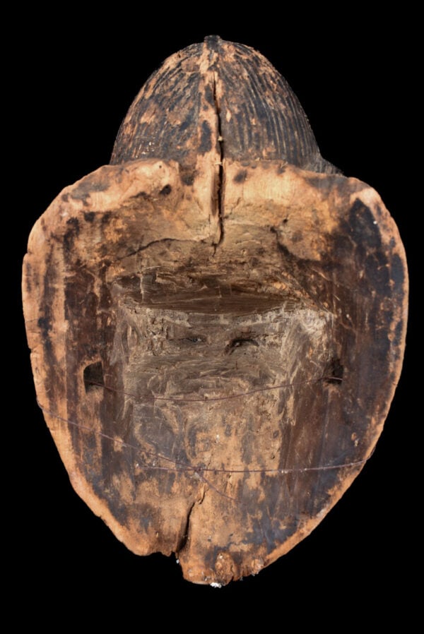 Initiation mask - Wood - Punu - Gabon - 3