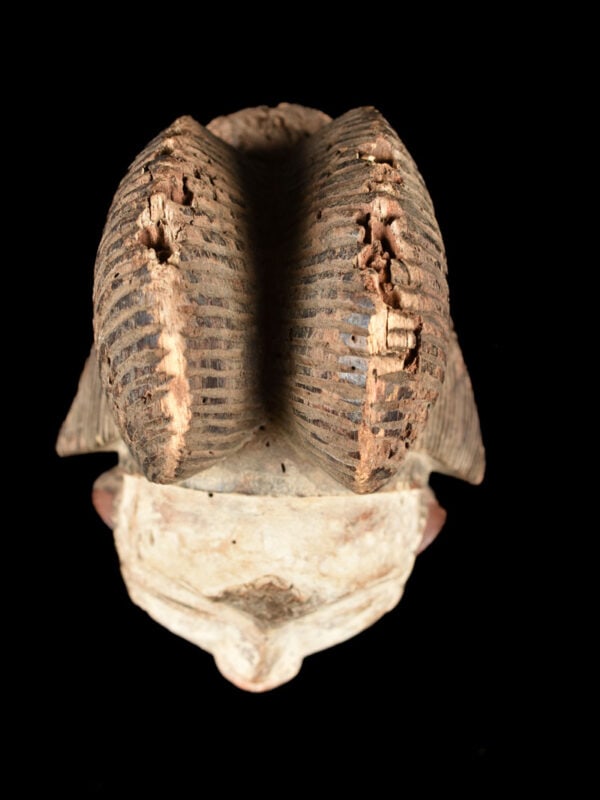 Initiation mask - Wood - Punu - Gabon - 8