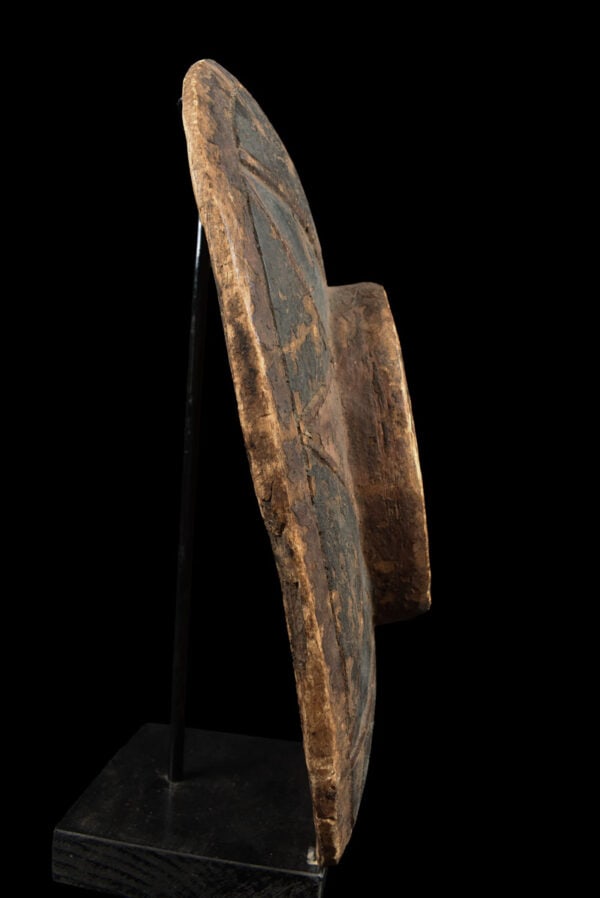 Dance shield - Wood - Eket - Nigeria - 5