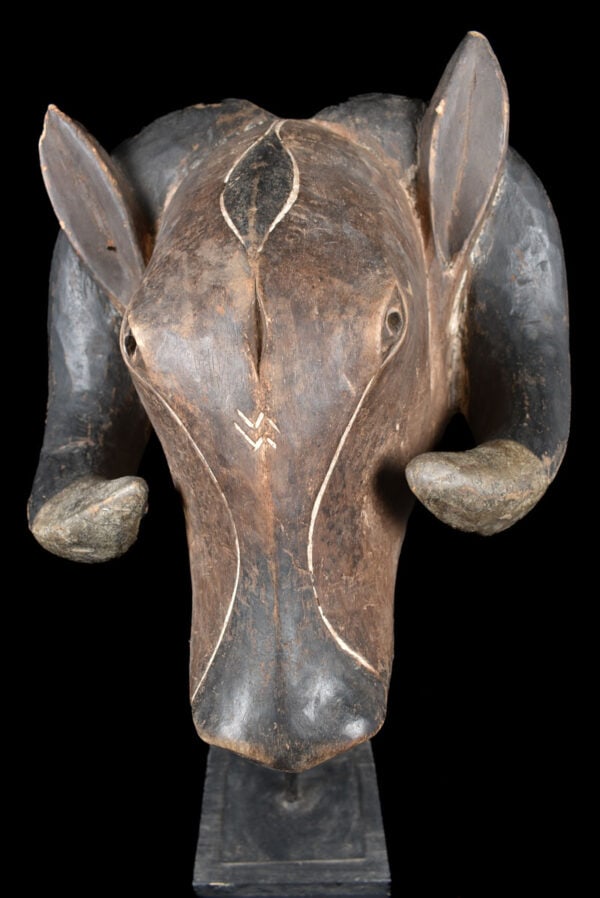 Ram mask - Wood - Baule - Ivory Coast - 2