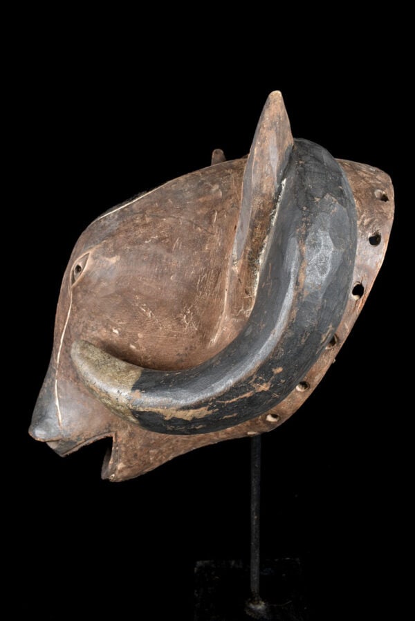 Ram mask - Wood - Baule - Ivory Coast - 5