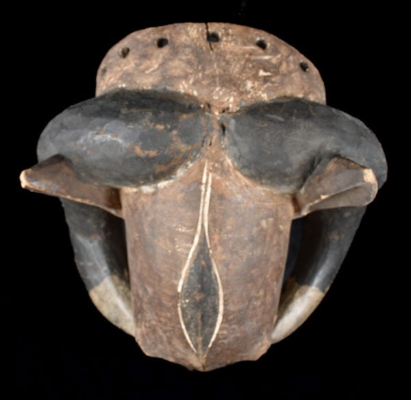Ram mask - Wood - Baule - Ivory Coast - 7
