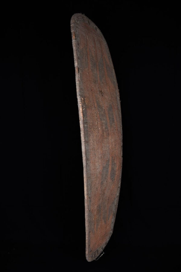 Shield - Wood - Ngombe - DR Congo - 4