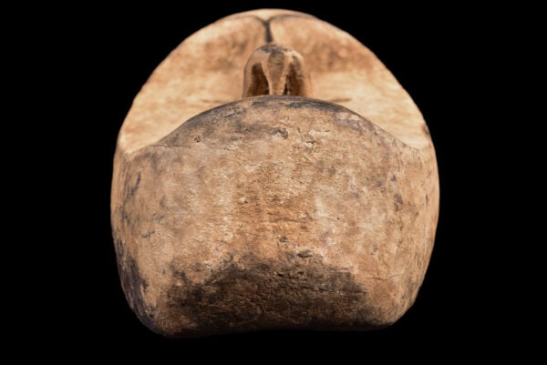 Ngil mask - Wood - Fang - Gabon - 8