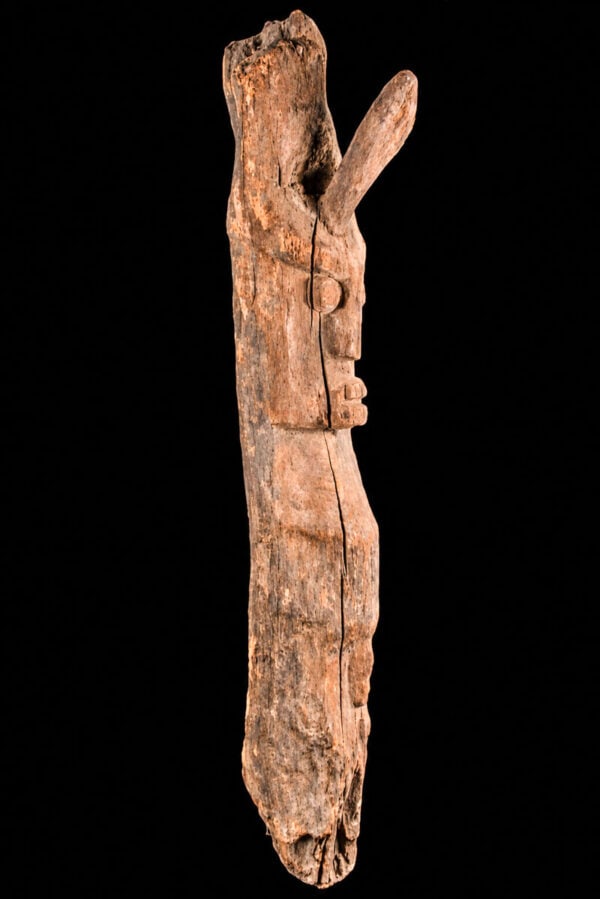 Figure - Abelam - Sepik - Papua New Guinea: Wooden ancestral spirit figure of the Abelam tribe from East-Sepik, Papua New Guinea. Large piece, total length: 106 cm. This statue was kept in the hut of the chief of the tribe. The Abelam people
