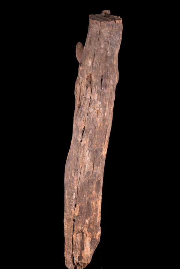 Figure - Abelam - Sepik - Papua New Guinea - 6