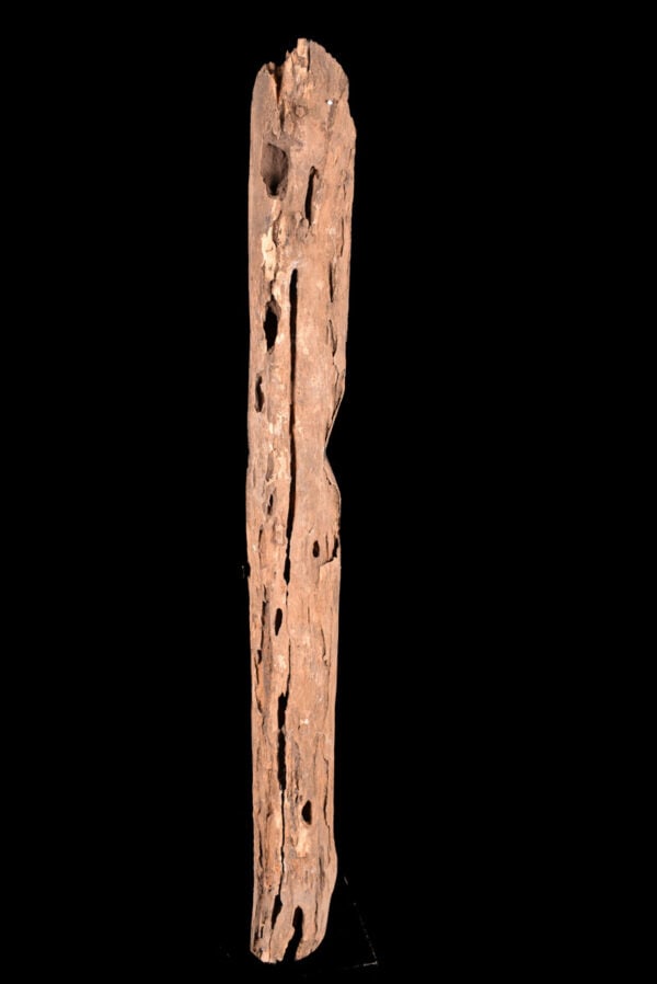 Figure - Abelam - Sepik - Papua New Guinea - 6