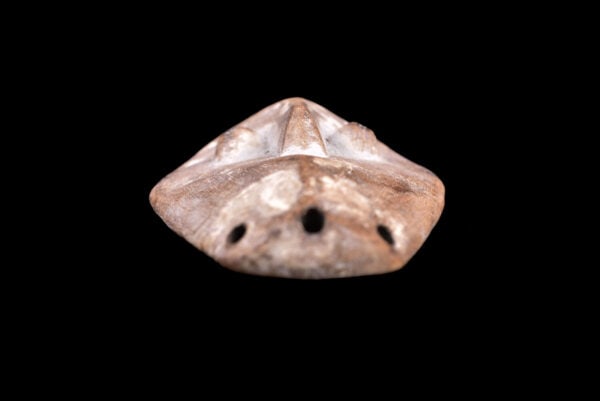 Mask - Wood - Lega - Congo - 7