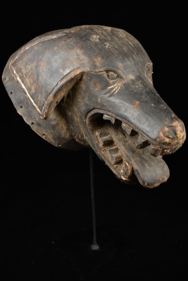 Animal Mask - Wood - Makonde - Tanzania: Striking Makonde animal helmet mask, dog or hyena, Tanzania. The mask depicts a dog, an important animal in Makonde culture. Dogs are considered protectors and guides. They are also associated with