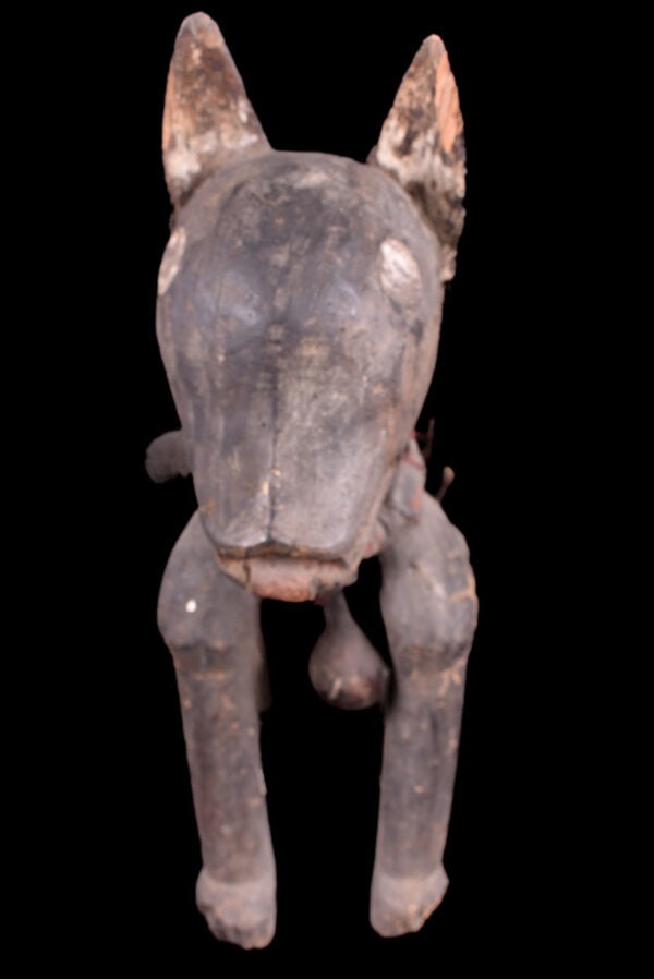 Nkisi Kozo - Nail, Wood - Bakongo - Congo - 8