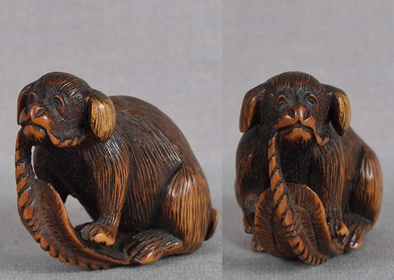 19c netsuke PUPPY chewing sandal by TADAKAZU - 3