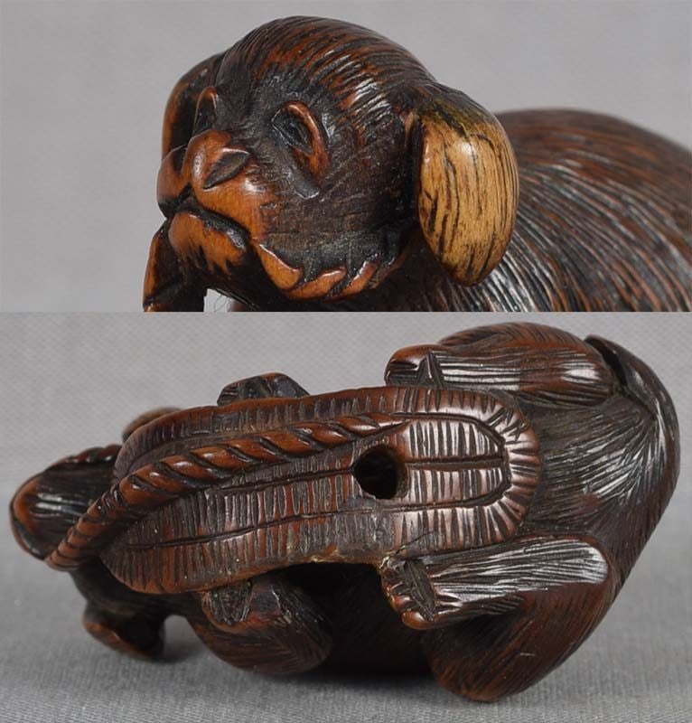 19c netsuke PUPPY chewing sandal by TADAKAZU - 6