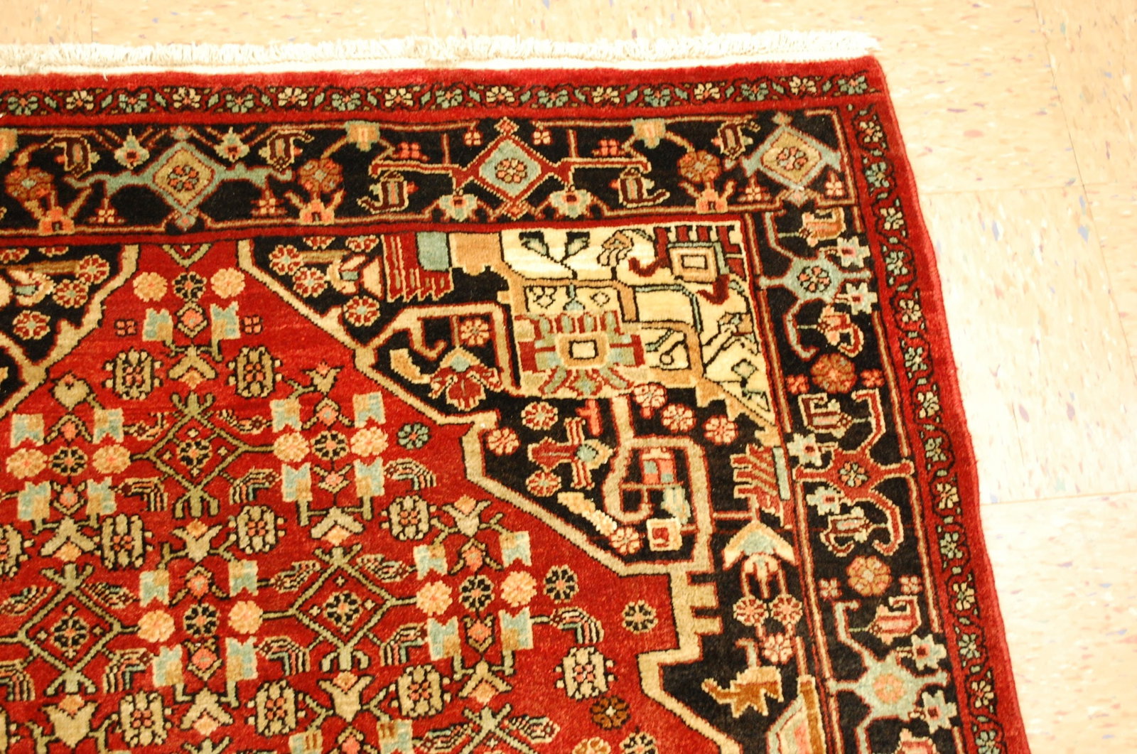 Persian BIJAR RUG 4.6 x 8.3 - 5
