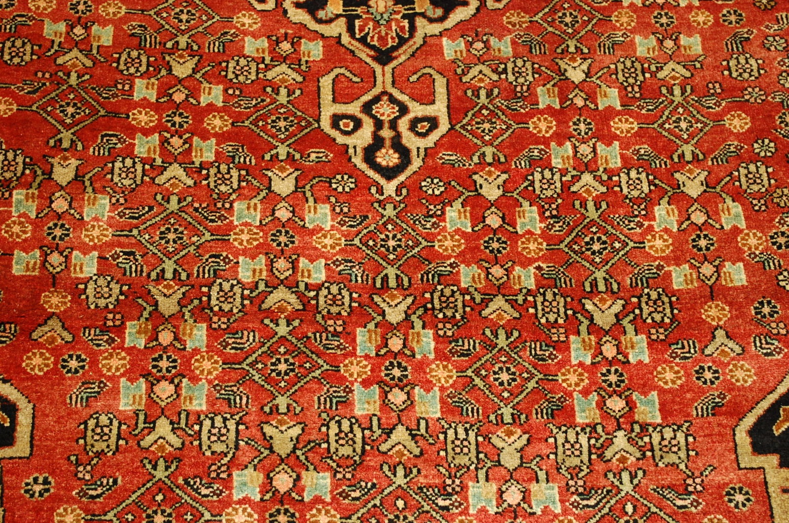 Persian BIJAR RUG 4.6 x 8.3 - 7