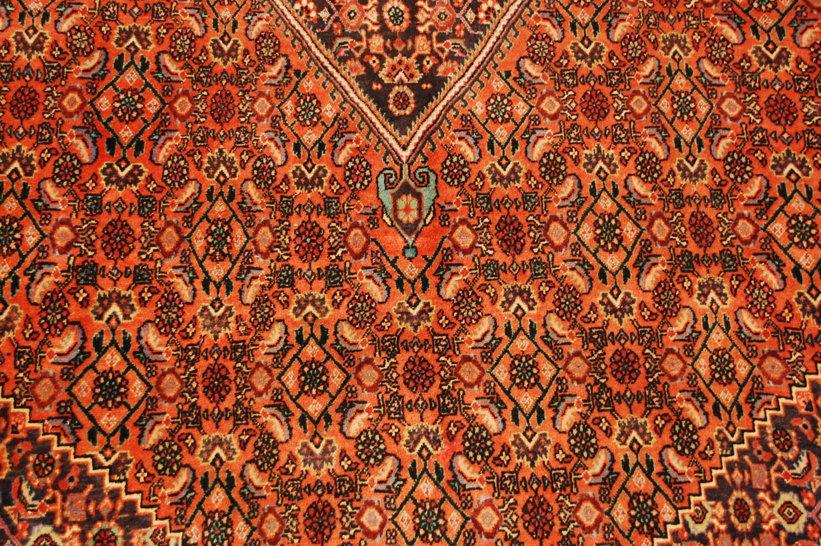 Persian BIJAR RUG 6.7x10.3 - 7