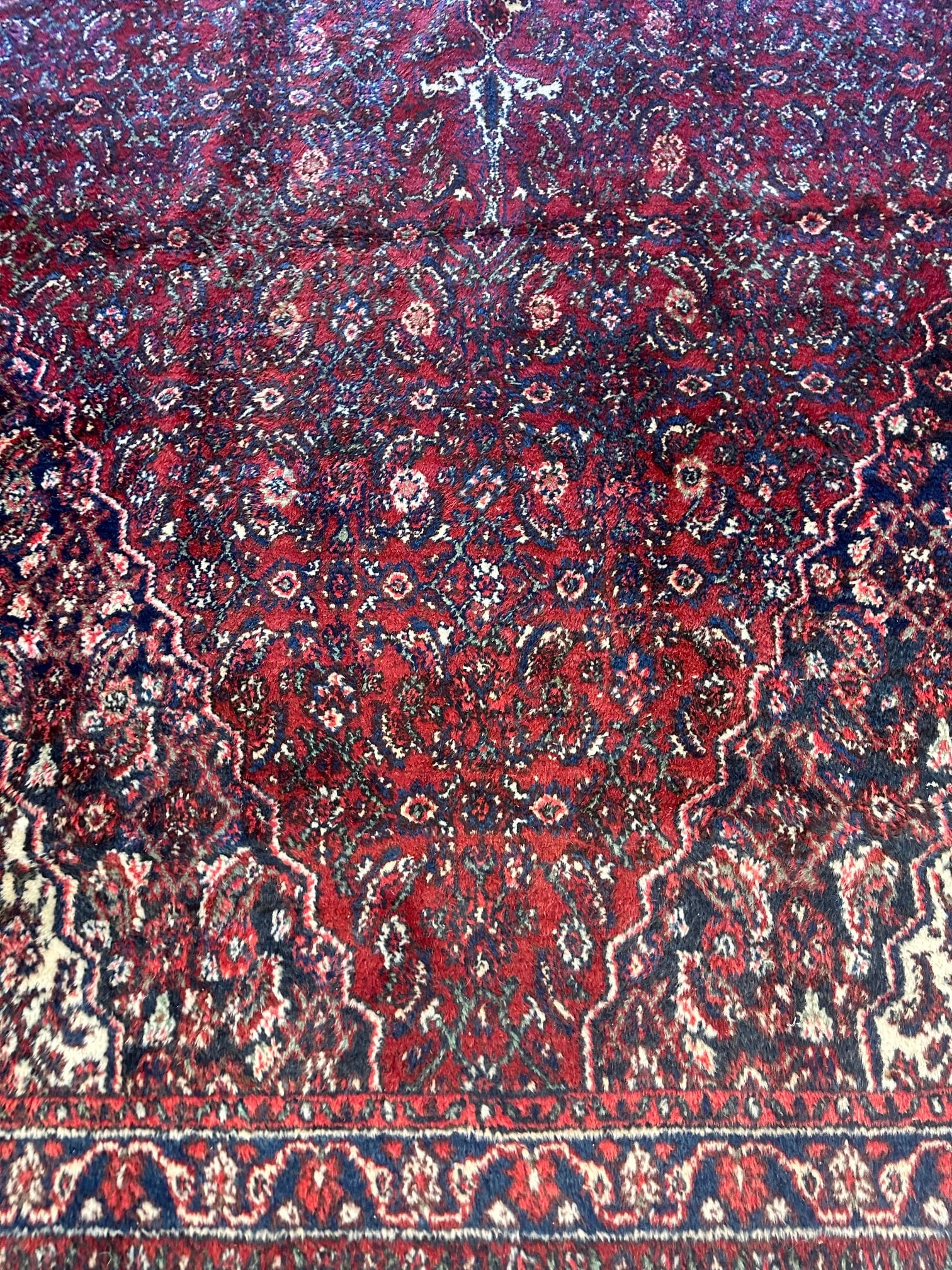 Hand Knotted Persian Hamedan Rug 16.8x9.5 ft - 2