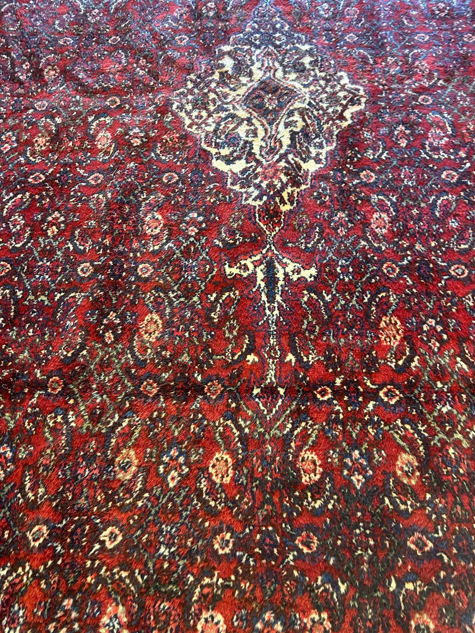 Hand Knotted Persian Hamedan Rug 16.8x9.5 ft - 3