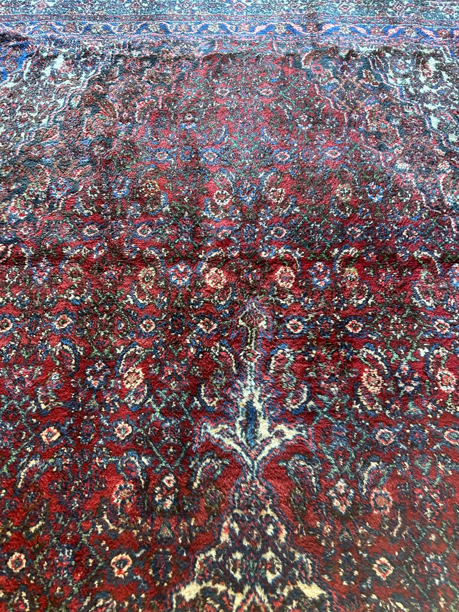 Hand Knotted Persian Hamedan Rug 16.8x9.5 ft - 4