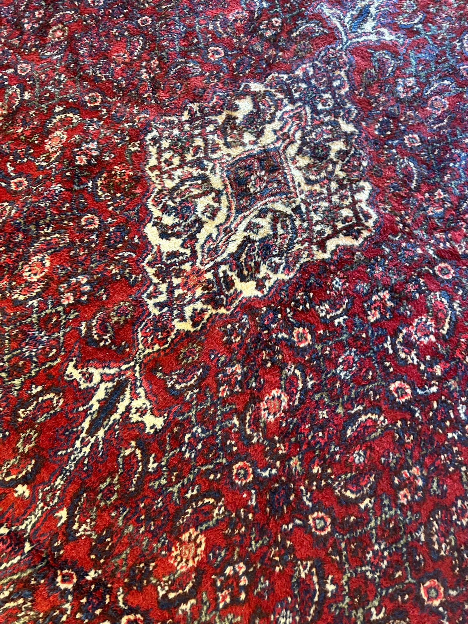 Hand Knotted Persian Hamedan Rug 16.8x9.5 ft - 8