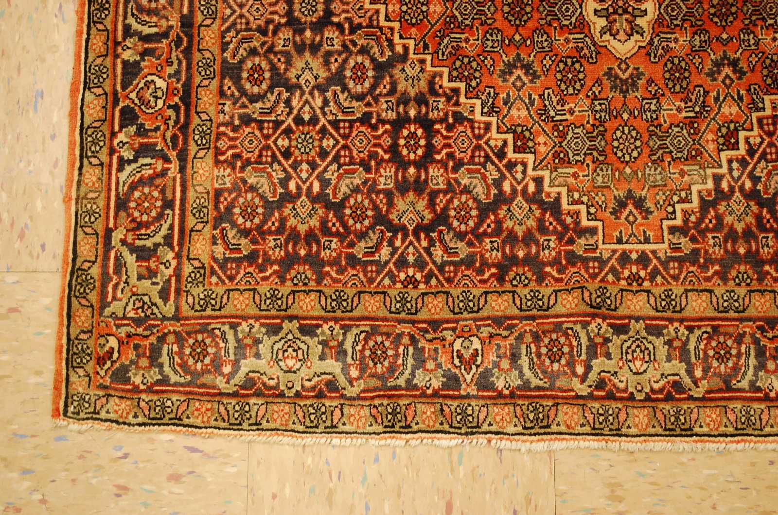 Persian BIJAR RUG 3'6" x 5'2" - 3