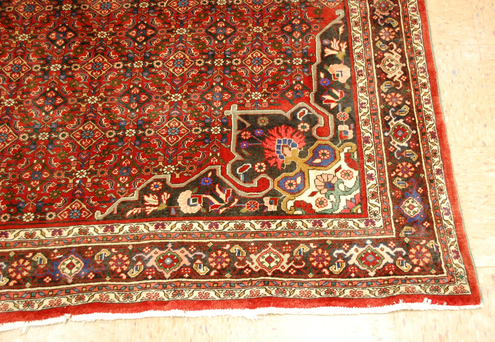 Persian BIJAR RUG 7'x10' - 2
