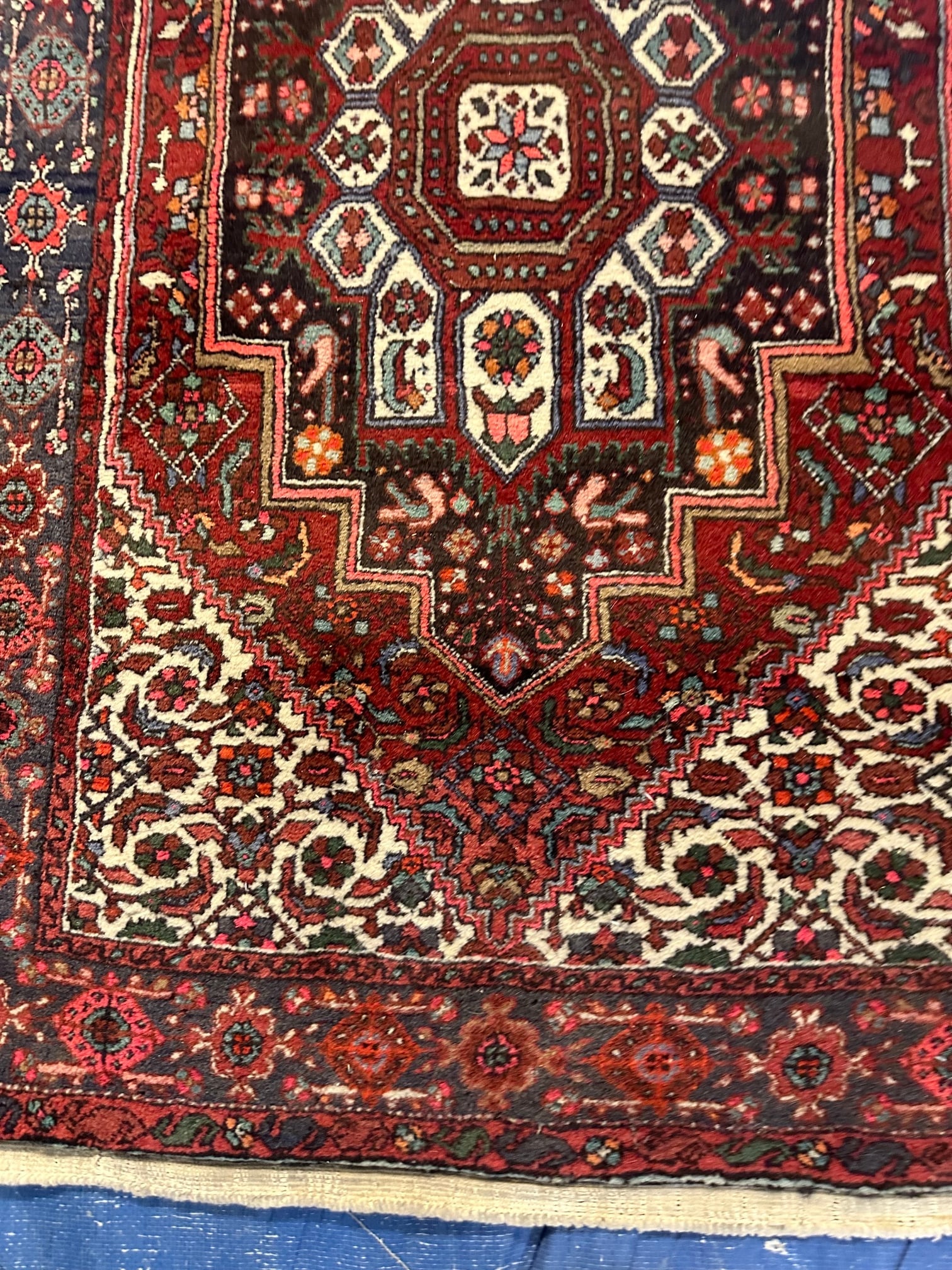 Hand Knotted Persian Bijar Rug 2.7x4.2 ft - 3