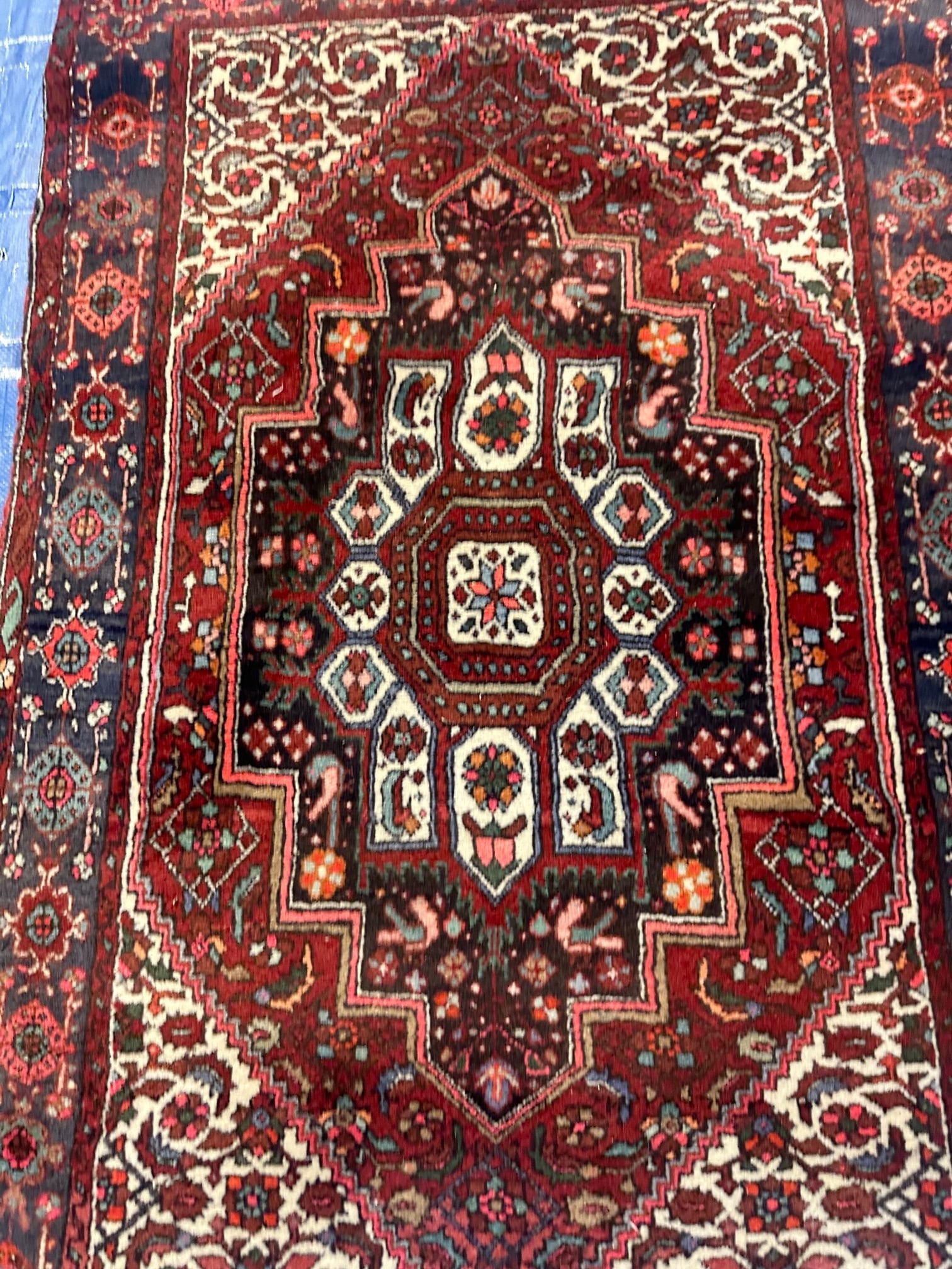 Hand Knotted Persian Bijar Rug 2.7x4.2 ft - 4