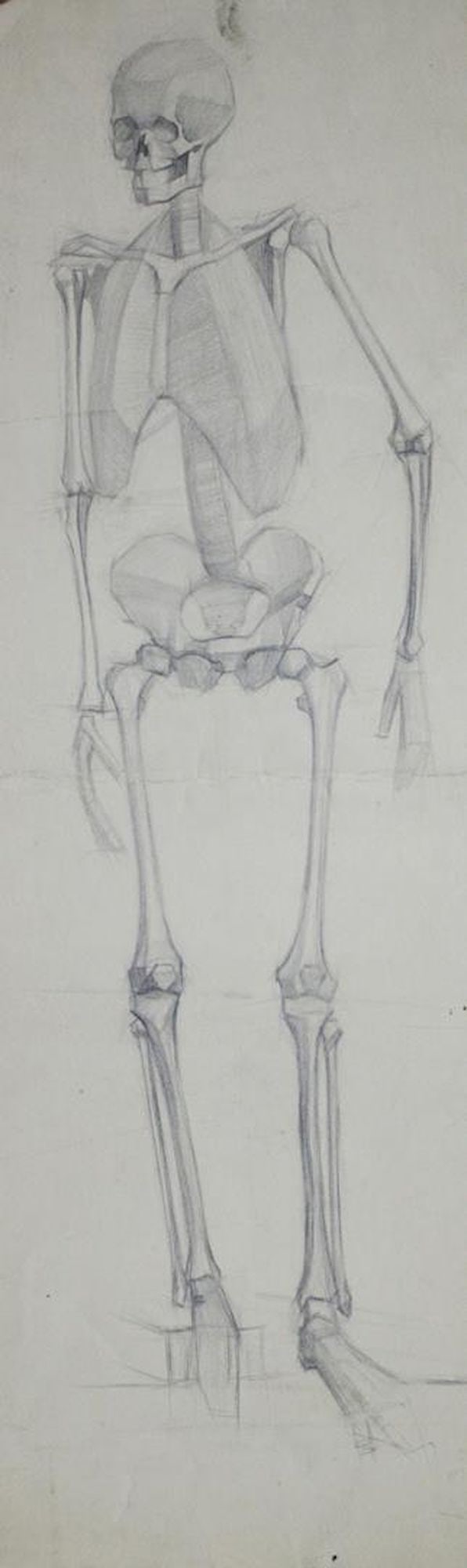 Mynka Olexandr (Ukrainian artist), "Human skeleton", pencil on paper: Title: Mynka Olexandr (Ukrainian artist), "Human skeleton", pencil on paper Description: ARTIST: Mynka Olexandr Fedorovich, Ukrainian artist TITLE: "Human skeleton" SIZE: 60 x 19 cm, (23 2/4 x 7 2/4 i