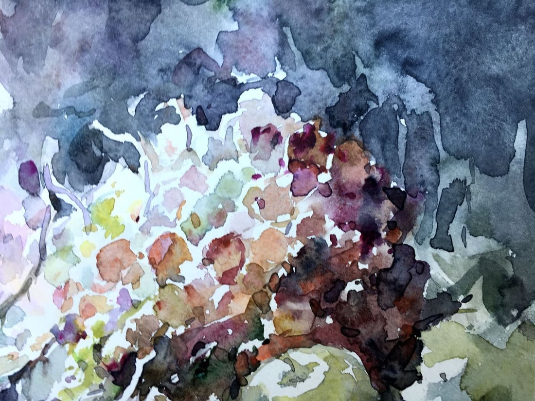 Watercolor painting Grapes on the table Viktor Mikhailichenko - 4