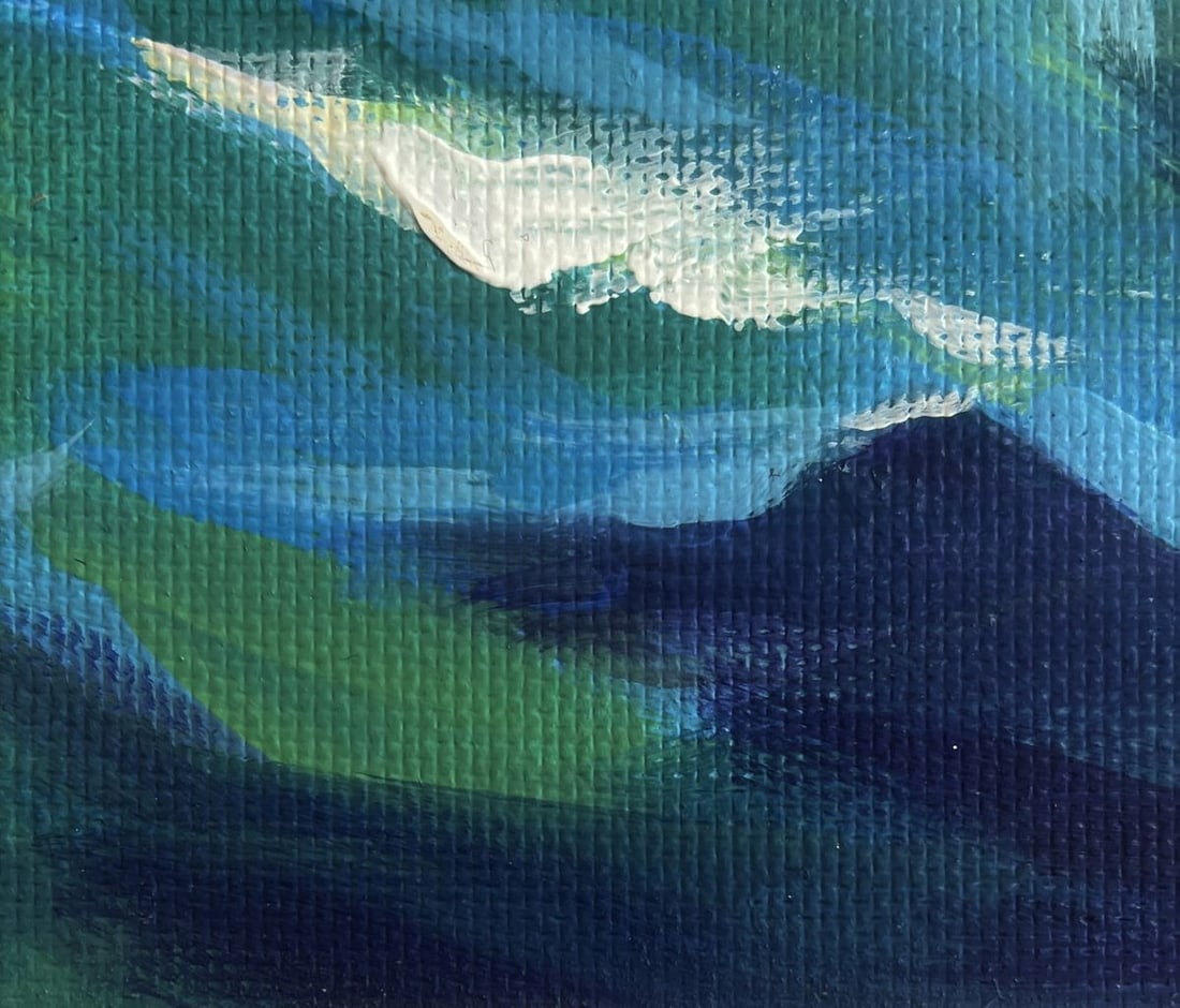 Acrylic painting Seagulls over the sea Mykhailo Patskan - 7