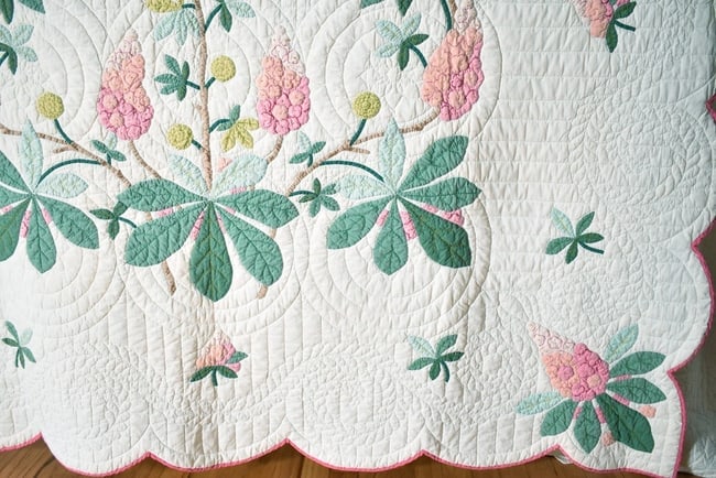 30's "Buckeye Tree" Applique Quilt - 9