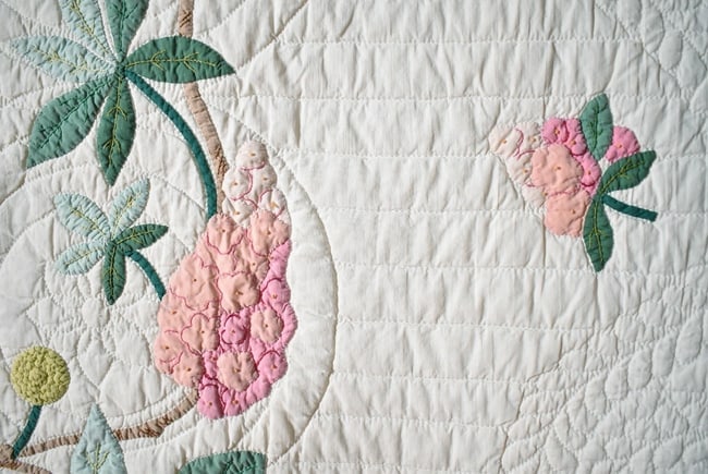 30's "Buckeye Tree" Applique Quilt - 11