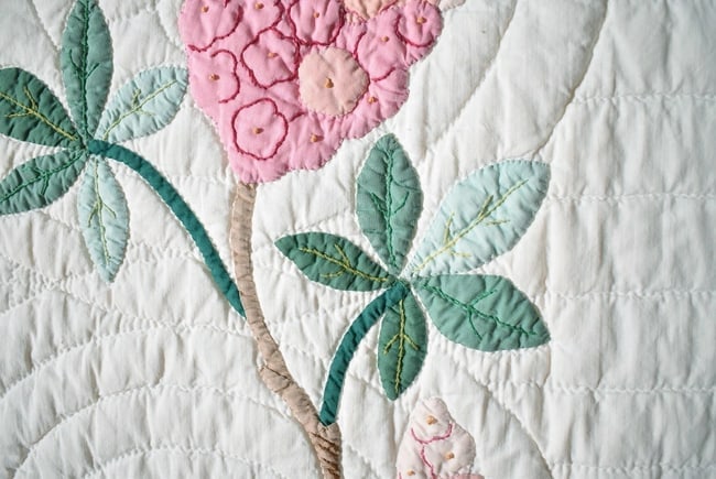 30's "Buckeye Tree" Applique Quilt - 12