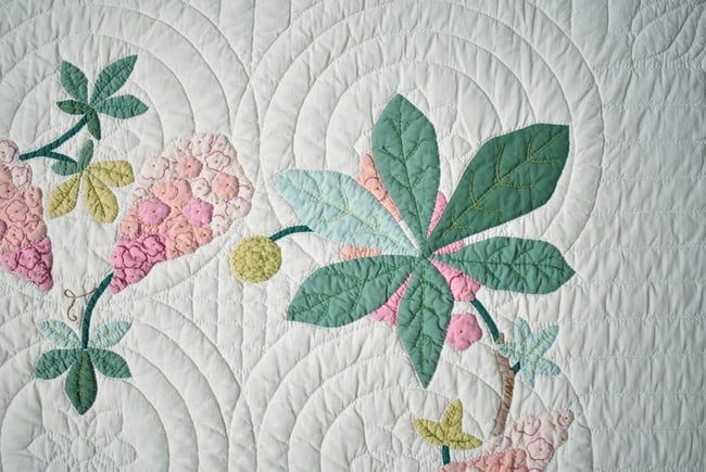 30's "Buckeye Tree" Applique Quilt - 13