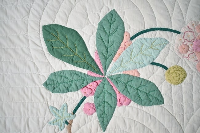 30's "Buckeye Tree" Applique Quilt - 15