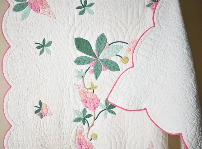 30's "Buckeye Tree" Applique Quilt - 16
