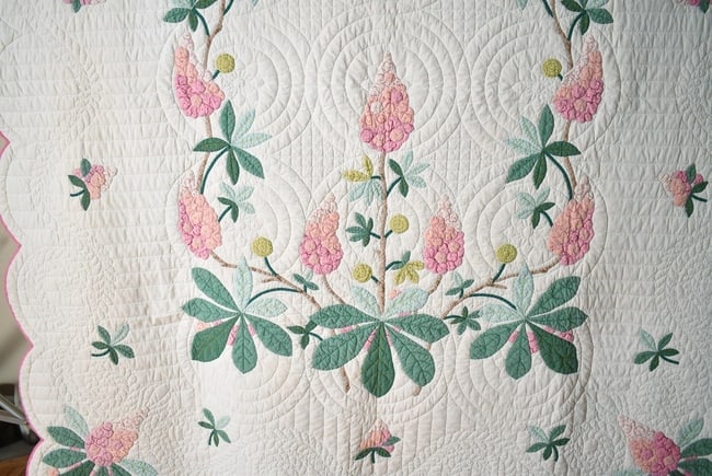 30's "Buckeye Tree" Applique Quilt - 2